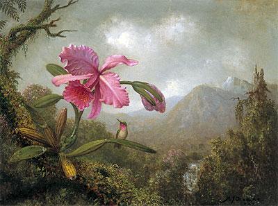 Martin Johnson Heade Famous Paintings page 3